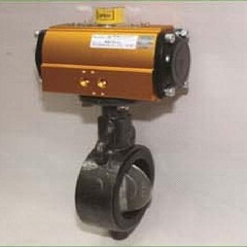 Double Pneumatic automatic Butterfly valve